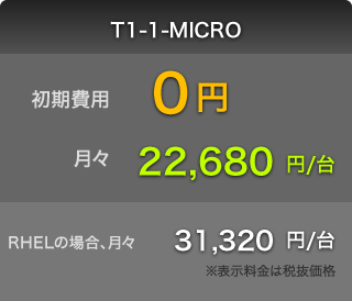 T1-1-MICRO